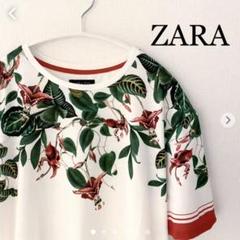 ZARA MAN 半袖カットソー Tシャツ ザラ 花柄